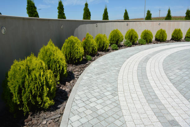 Best Driveway Paver Sealing  in Vicksburg, MS