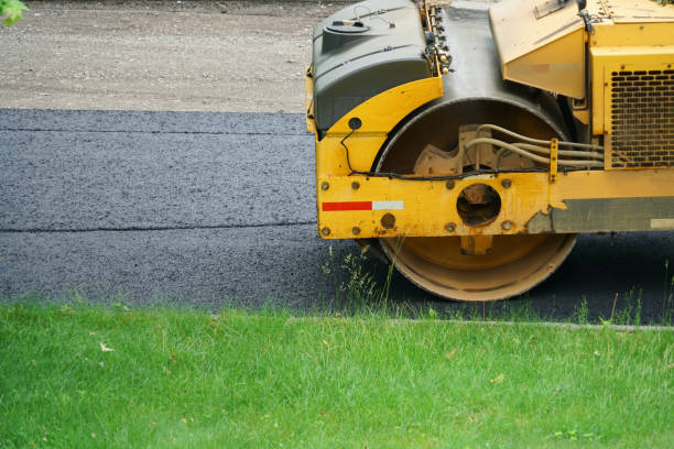Best Driveway Paver Repair  in Vicksburg, MS